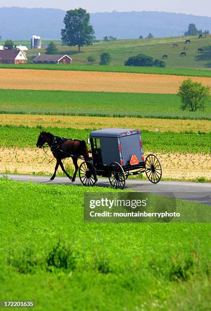 farm country - amish buggy stock pictures, royalty-free photos & images