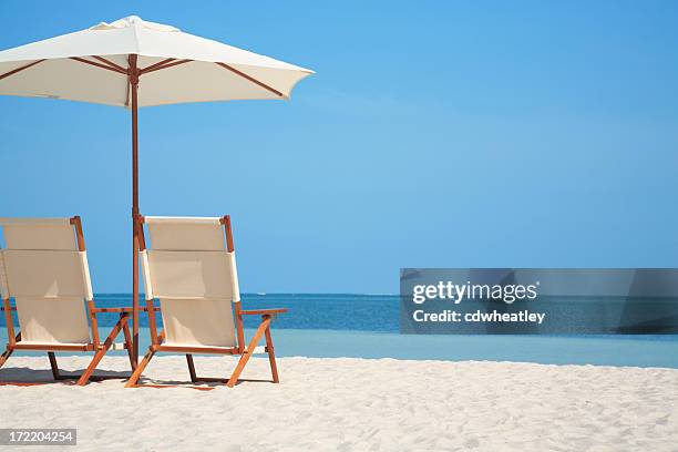 empty chairs and umbrella at a beach in florida, usa - lawn chair stock pictures, royalty-free photos & images