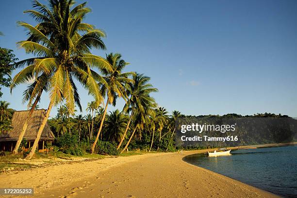 fantasy beach. - fiji hut stock pictures, royalty-free photos & images