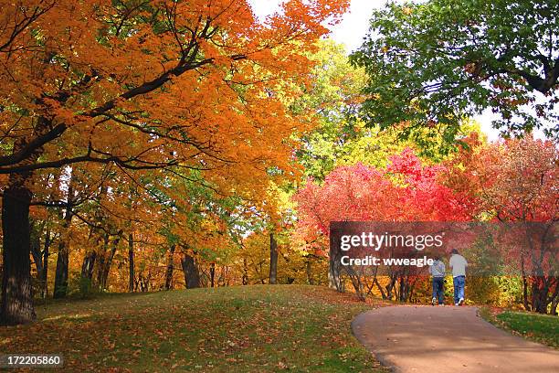 going for a walk in the park - indiana stock pictures, royalty-free photos & images
