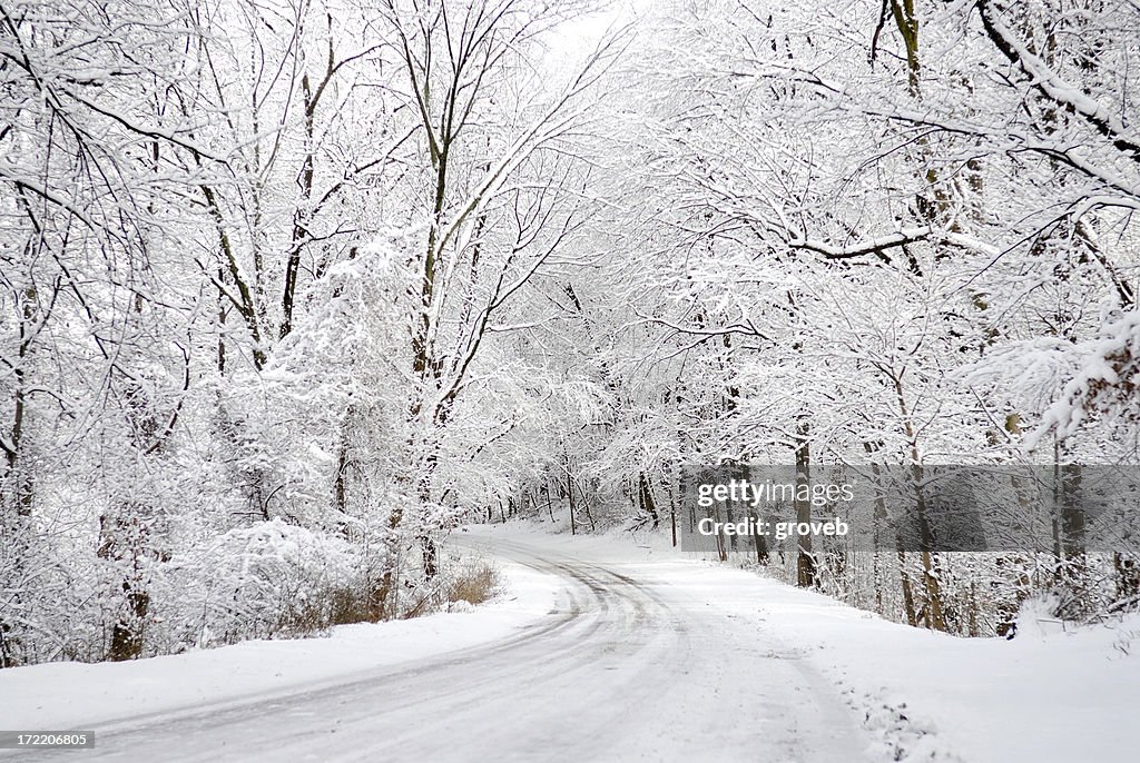 Freshly fallen snow