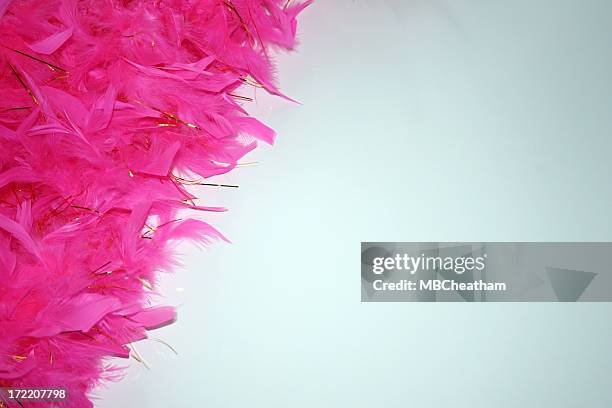 pink boa - boa persoonlijk accessoire stockfoto's en -beelden