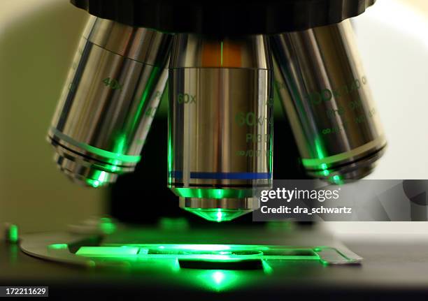 fluorescente, lente de microscopio - fluorescent fotografías e imágenes de stock