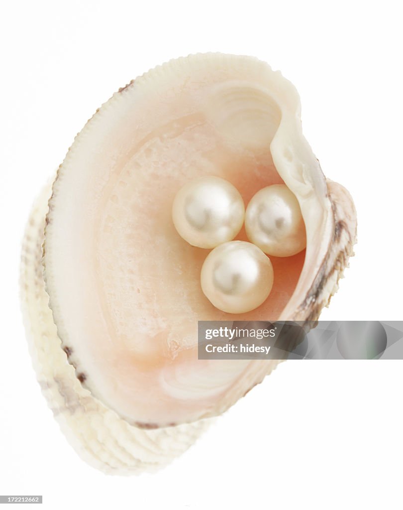 Pearls in a Shell