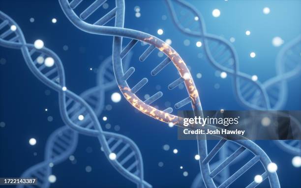 science biotechnology dna chromosome, 3d rendering - dna bildbanksfoton och bilder