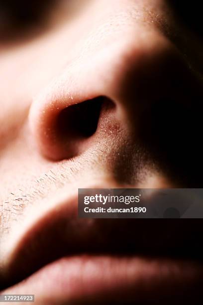 abstract body part - human nose stockfoto's en -beelden