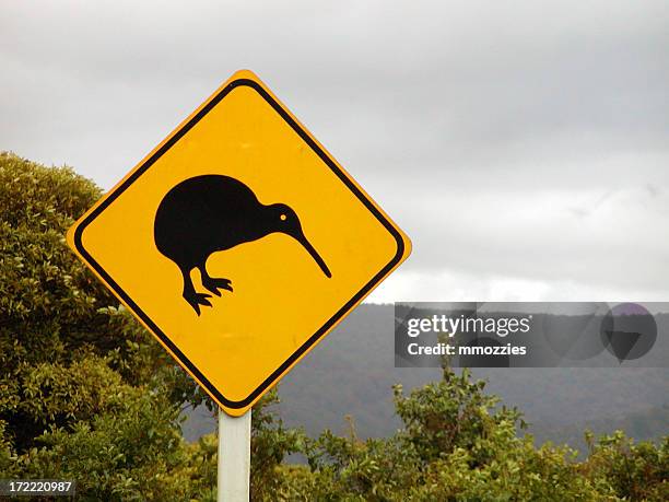 kiwi crossing - kiwi bird stock pictures, royalty-free photos & images