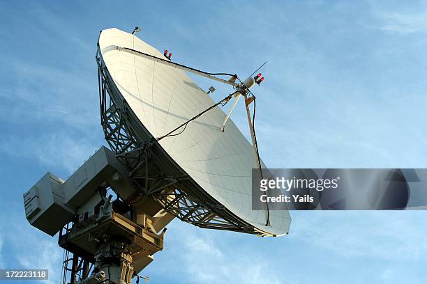 radar - animal antenna stock pictures, royalty-free photos & images