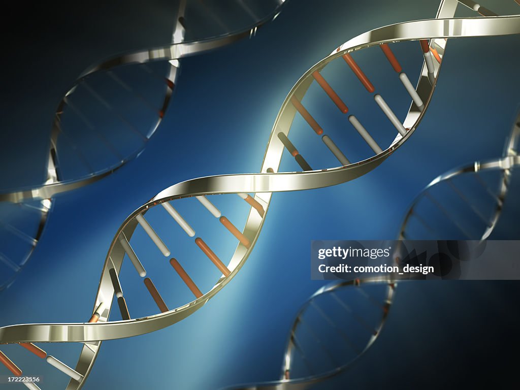 Metallic DNA strand model image