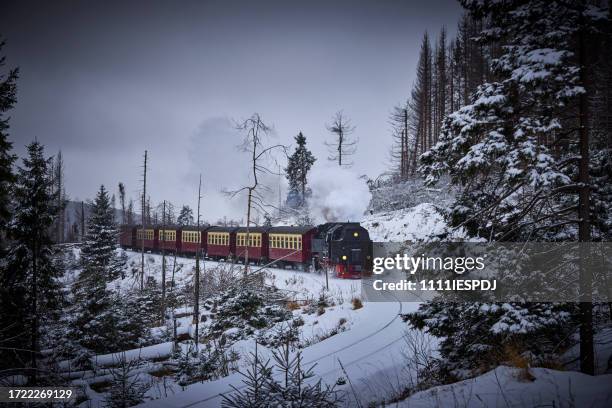 historischen dampfzug voller laufgeschwindigkeit brocken berg in harzregion - brockenbahn stock-fotos und bilder
