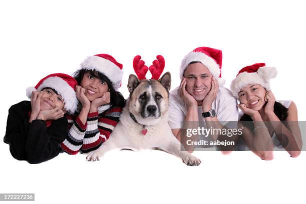 christmas family - akita dog on white stock pictures, royalty-free photos & images