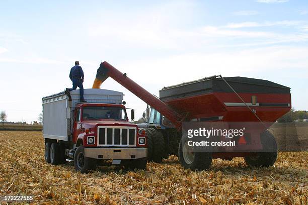 harvest hauling - rural iowa stock pictures, royalty-free photos & images