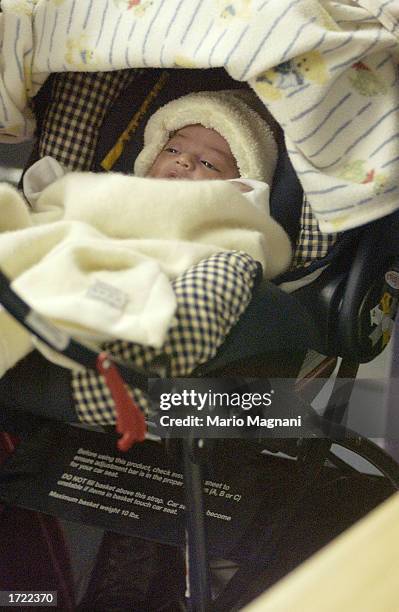 Sophia Rosalinda Bratt, the infant daughter of actors Benjamin Bratt and Talisa Soto, lies in a baby carriage as her parents shop December 19, 2002...