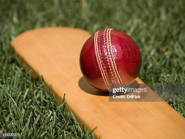 cricket ball - cricketbat stockfoto's en -beelden