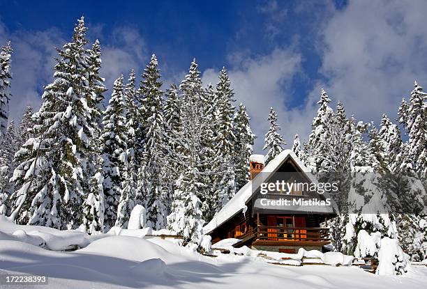 alpine hut - chalet - fotografias e filmes do acervo