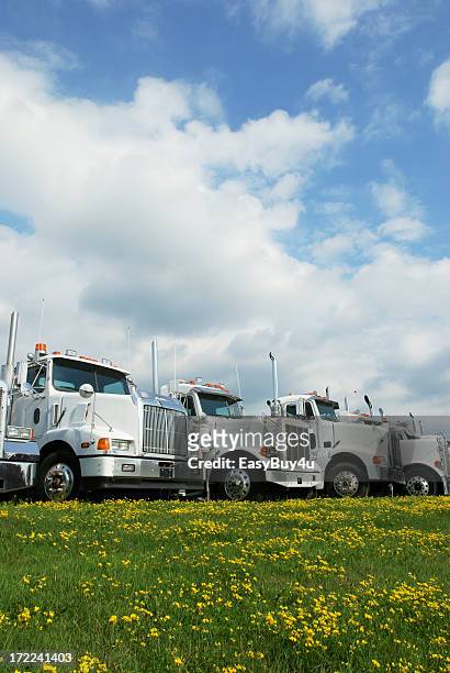four white trucks near green grass with yellow flowers - freightliner truck stock pictures, royalty-free photos & images