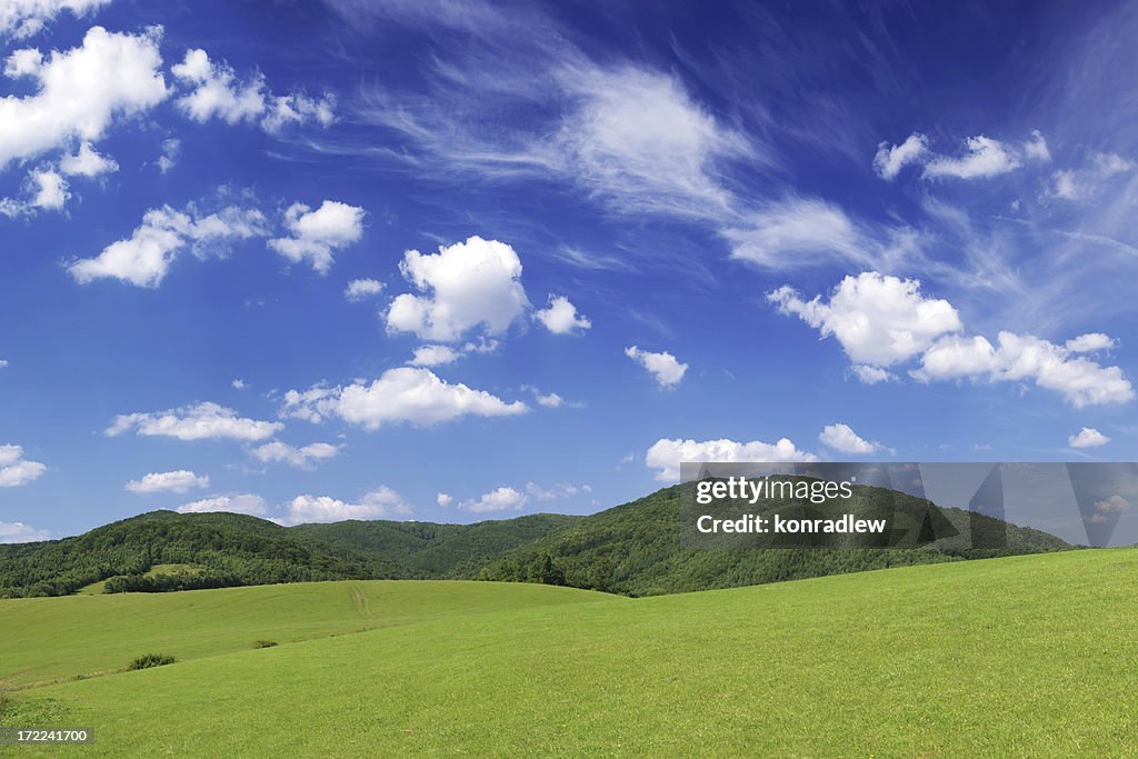 Green field Landscape