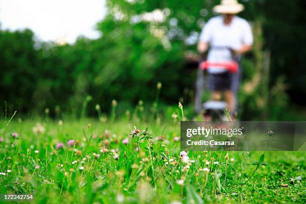 la jardinería - cortacésped manual fotografías e imágenes de stock