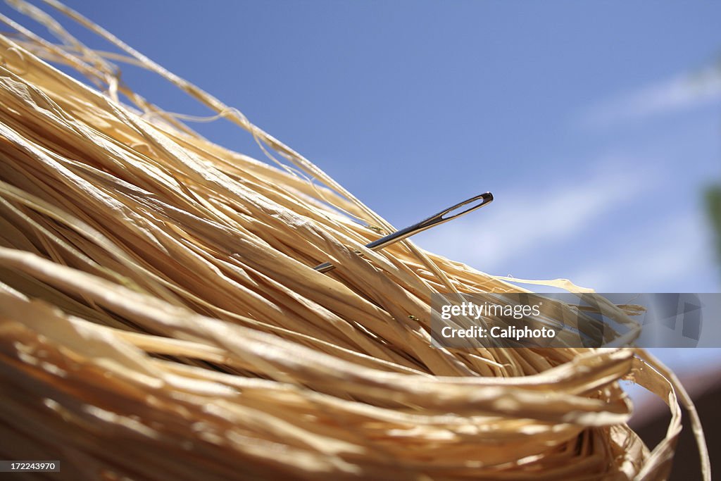Close-up of a needle in a haystack against a blue sky