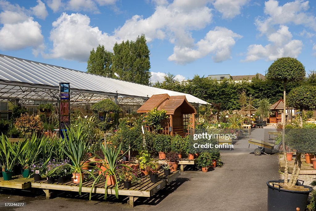 Various plants in a garden center