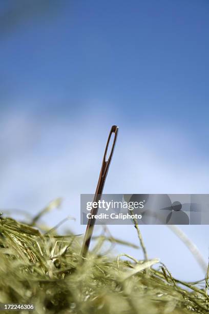 needle in a haystack - haystack stock pictures, royalty-free photos & images