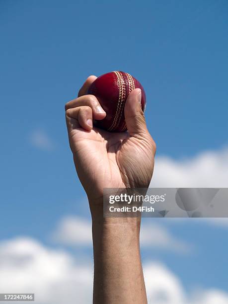 cricket ball - cricket ball stockfoto's en -beelden