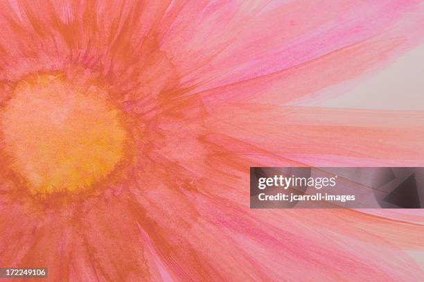 bright pink painted daisy - watercolour abstract stock pictures, royalty-free photos & images