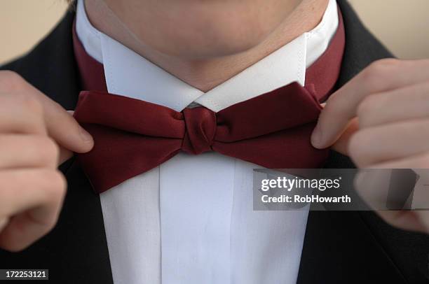 papillon - papillon accessorio da portare al collo foto e immagini stock