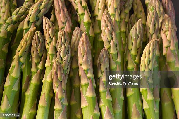 green asparagus spring vegetable close-up texture pattern background - asparagus stock pictures, royalty-free photos & images