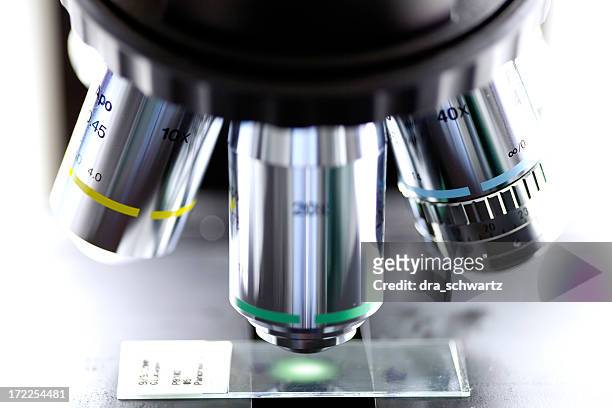 microscópio - despistagem genética imagens e fotografias de stock