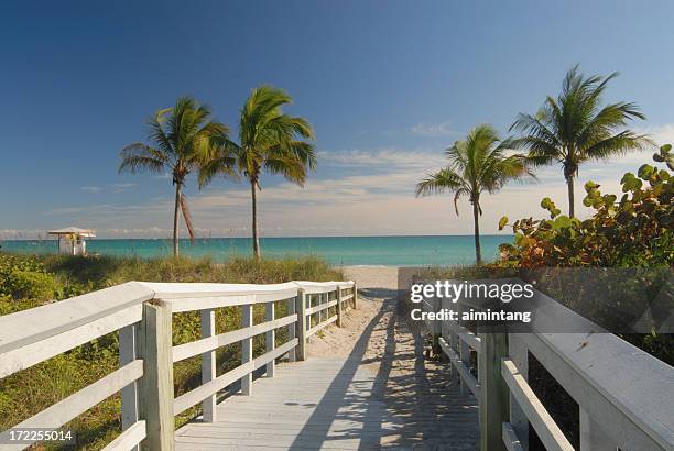 boardwalk para a praia 1 - florida - fotografias e filmes do acervo