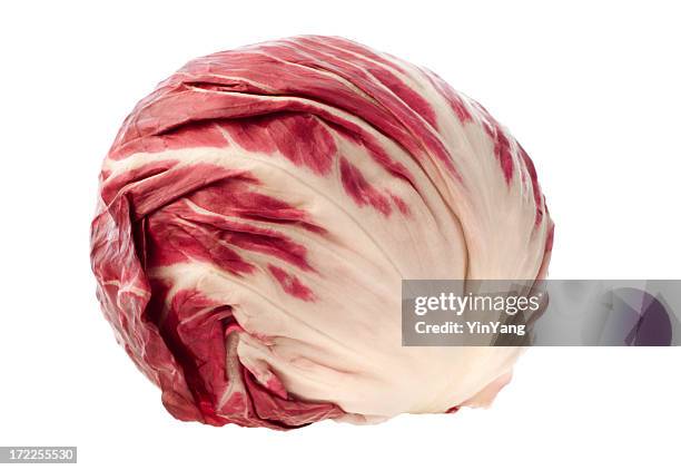 radicchio, chicory red vegetable, fresh raw food isolated on white - radicchio stock pictures, royalty-free photos & images