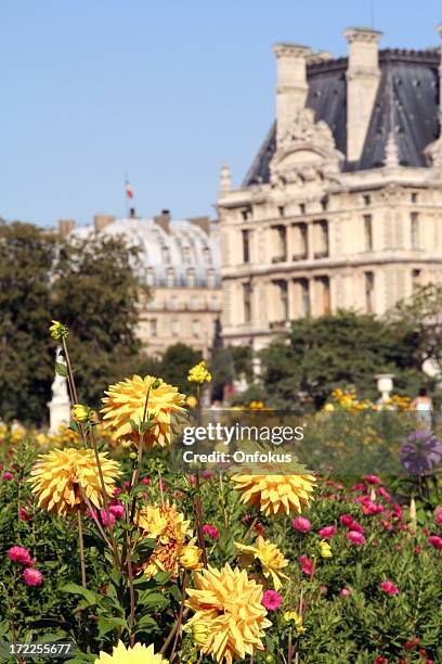 louvre museum and flowers on sunny day in paris, france - bokeh museum stock pictures, royalty-free photos & images