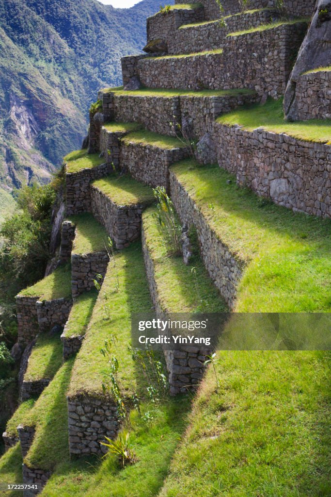 Machu Picchu Terrace