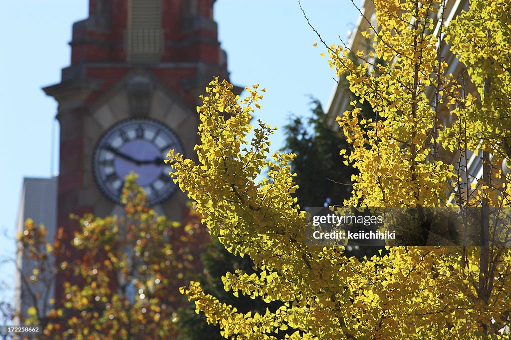 Autumn town