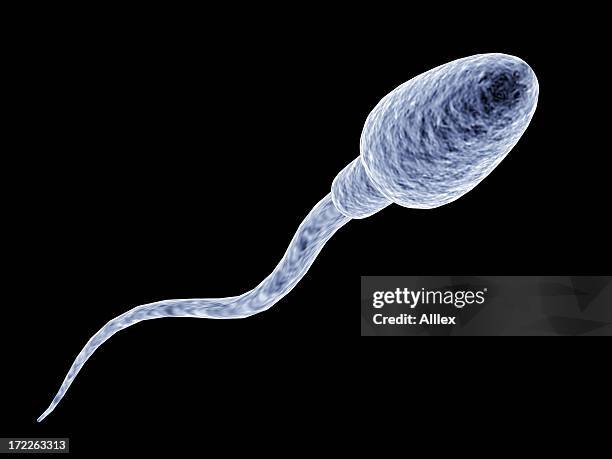 spermatozoon - sperm stock pictures, royalty-free photos & images