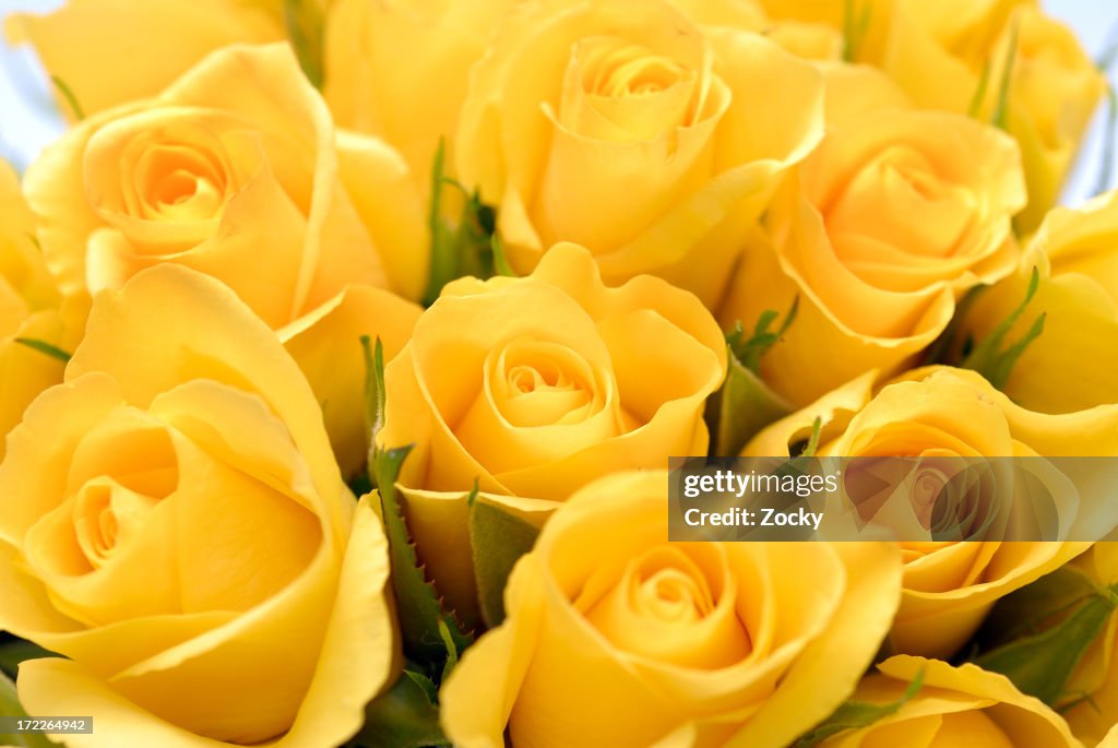 Close-up image of yellow rose bouquet