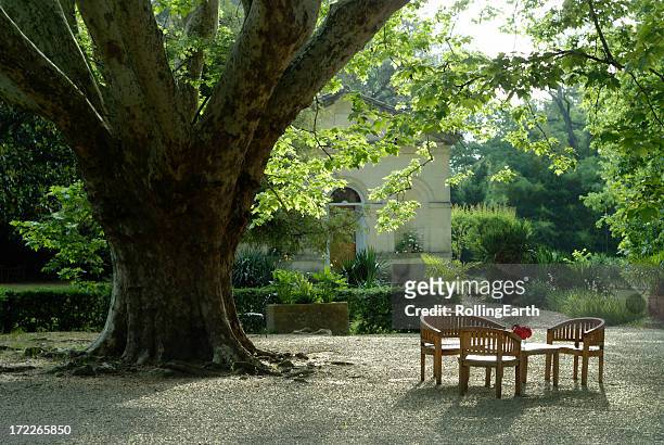 table sous un arbre - provence alpes côte d'azur photos et images de collection