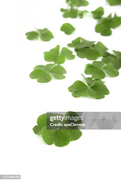 clovers - shamrock stock pictures, royalty-free photos & images