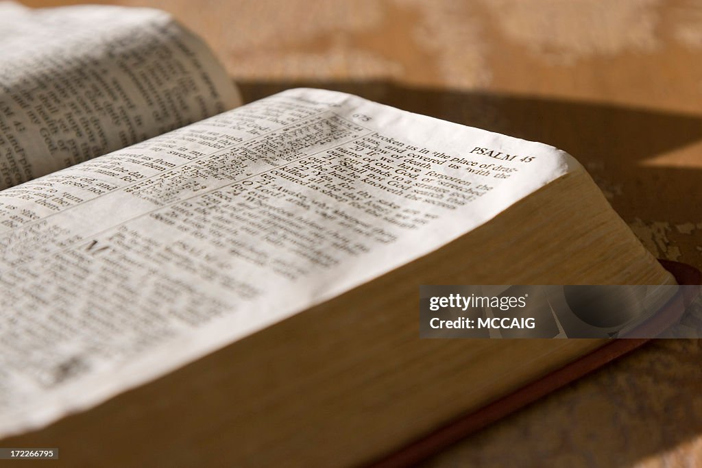 Psalms scripture in the holy bible