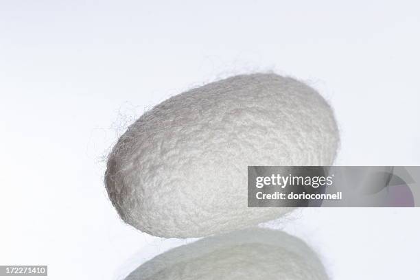 silk coocoon - silkworm stock pictures, royalty-free photos & images