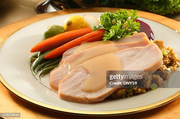 plate with slices of turkey and side of cooked vegetables - kalkonbröst bildbanksfoton och bilder