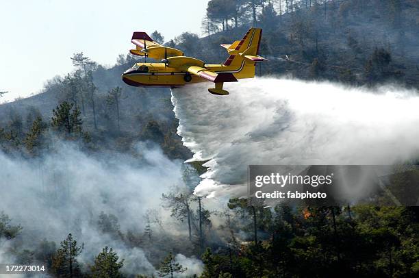 avión de bombero - incendio forestal fotografías e imágenes de stock