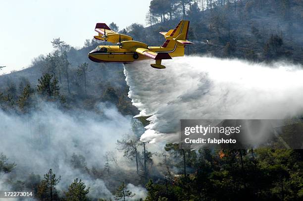 a firefighter airplane putting out a forest fire - forest fire stockfoto's en -beelden