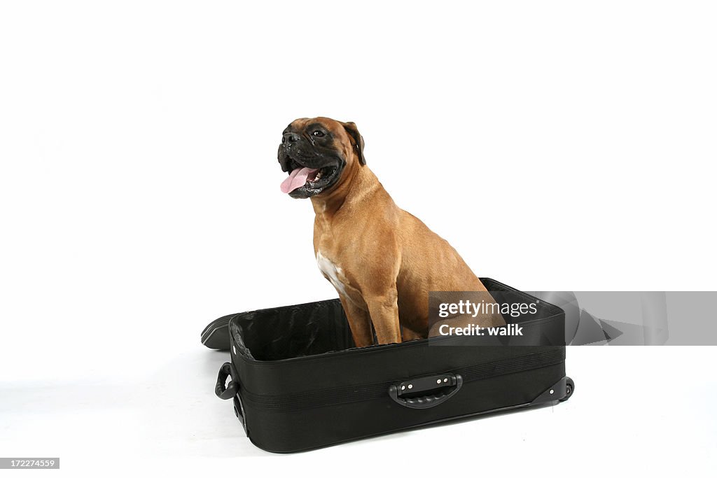 Turista