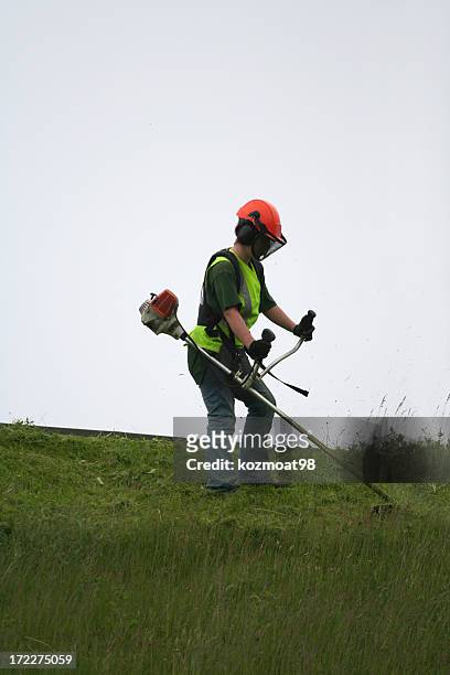 grass cutter, series - 2 - amplified heat stock pictures, royalty-free photos & images