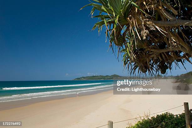 the beach - pandanus stock pictures, royalty-free photos & images