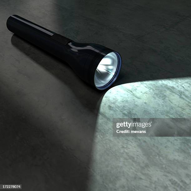 la ricerca - torcia elettrica foto e immagini stock