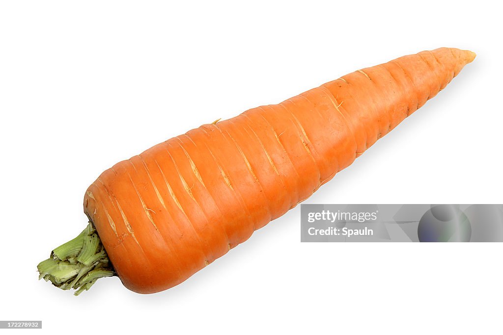 Carrot