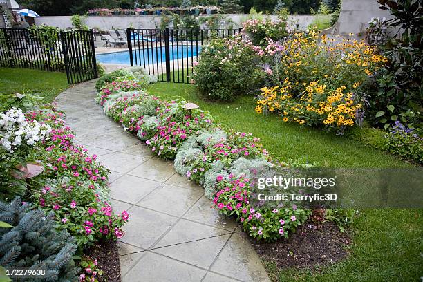 flowered backyard garden walk and swimming pool - annual stock pictures, royalty-free photos & images